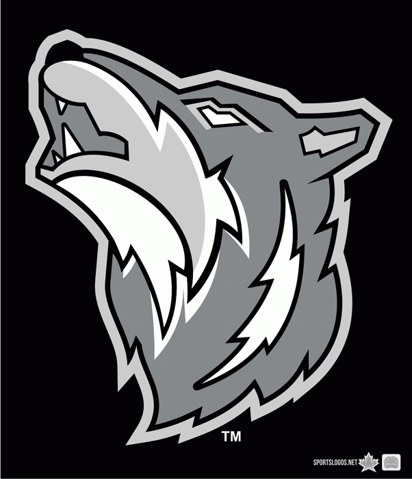 Sudbury Wolves 2010-pres jersey logo iron on transfers for clothing
